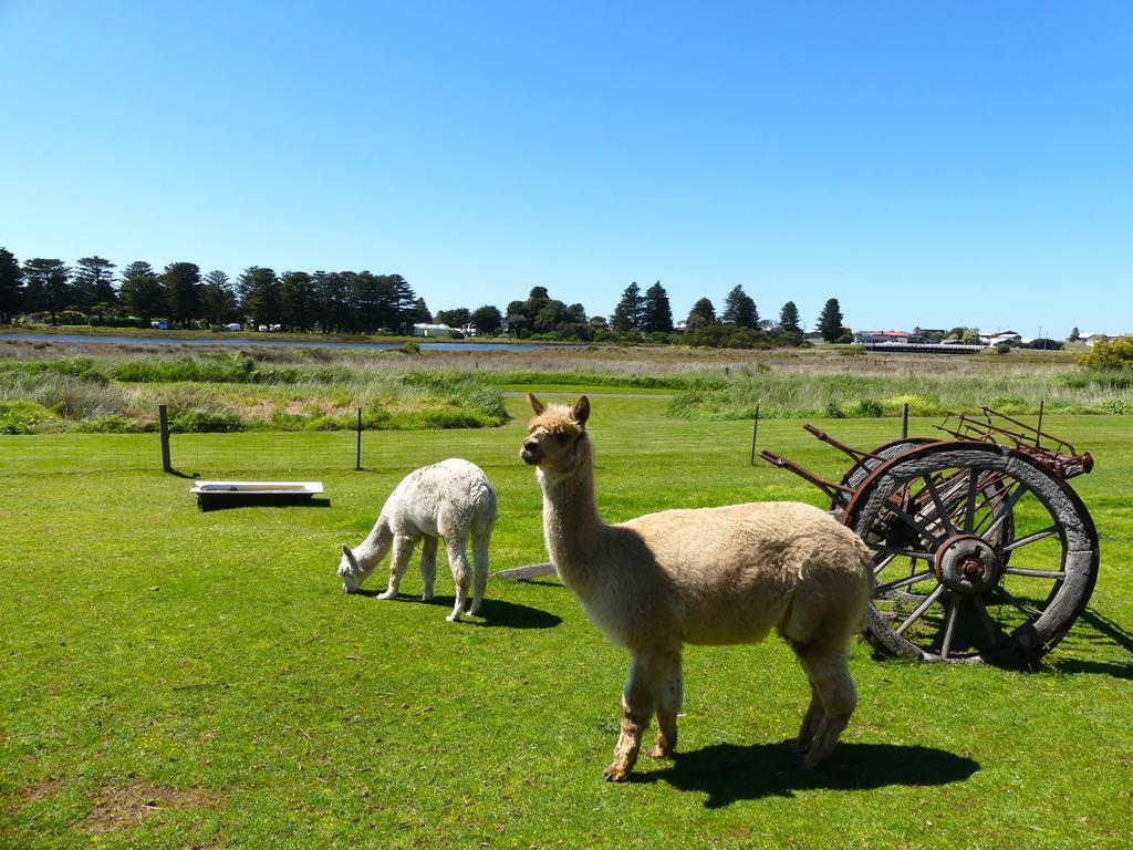 Pelican Waters Holiday Park ポート・フェアリー エクステリア 写真